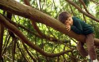 memanjat-pohon-bagus-untuk-otak Berita Positif dan Berimbang