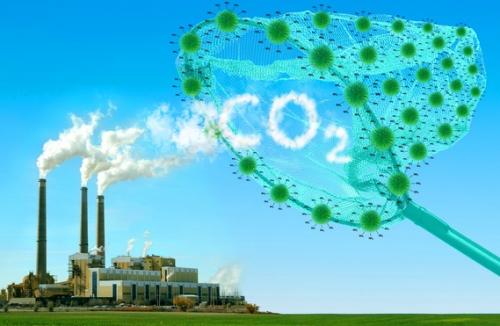 co2-capai-rekor-tertinggi-selama-30-tahun | Berita Positive 