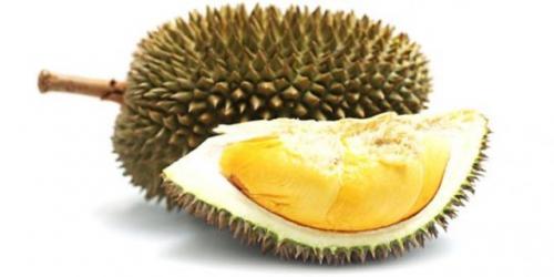-wisata-durian-di-lembah-hijau-bandarlampung | Berita Positive 