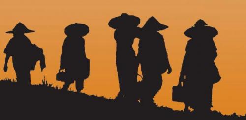 petani-kotabaru-kreatif-bertanam-tanpa-olah-tanah | Berita Positive 