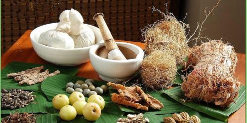 khasiat-obat-herbal-pulihkan-stamina-usai-liburan | Berita Positive 